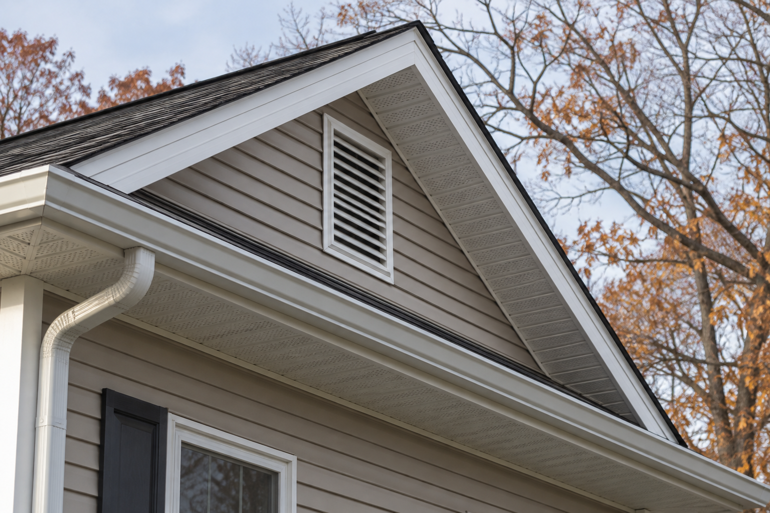 Supporting image for blog post: Attic Pest Concerns Before Winter at Lake of the Ozarks