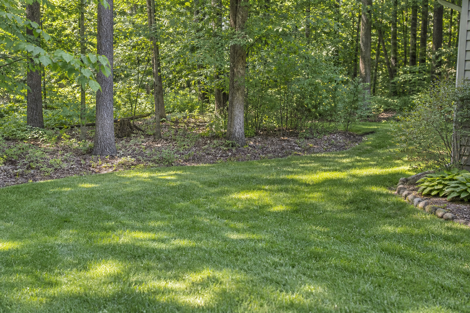 Supporting image for blog post: Tick Service and Yard Preparation in Rolla, MO
