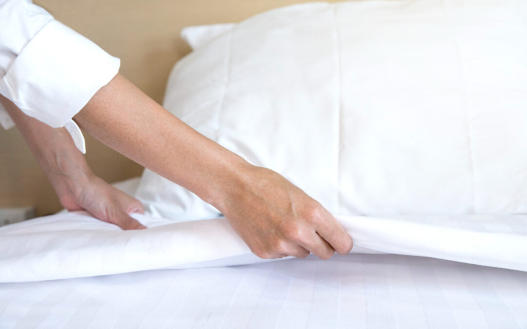 Early Signs of Bed Bugs: How to Detect and Prevent Infestation