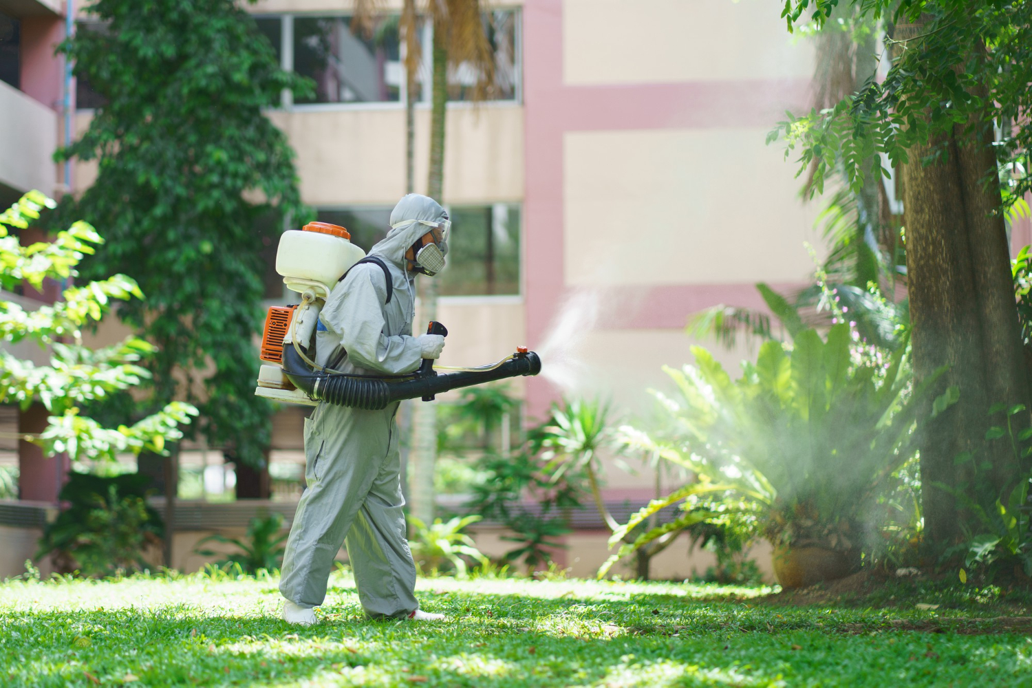 st roberts pest control A person in a protective suit uses a fogging machine to spray pesticides in a garden area near a building.